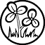তৃণমূল